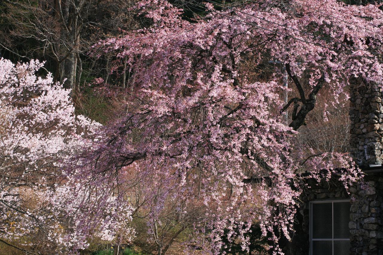 Nukumorino-Yado Komanoyu Kiso Dış mekan fotoğraf